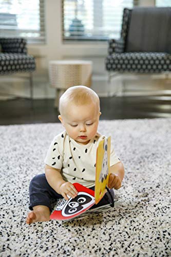Baby Einstein Activity Mirror with Cards Baby Einstein Activity Mirror with Cards